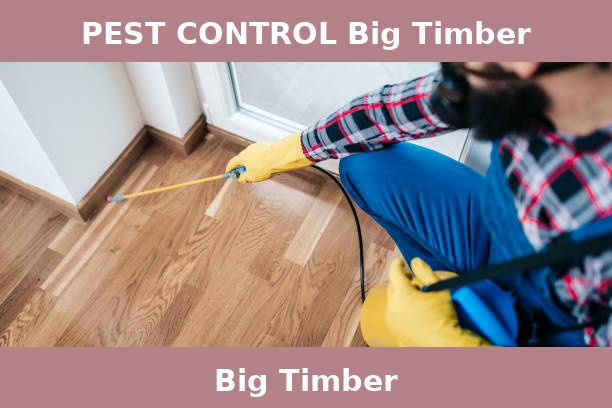PEST CONTROL Big Timber